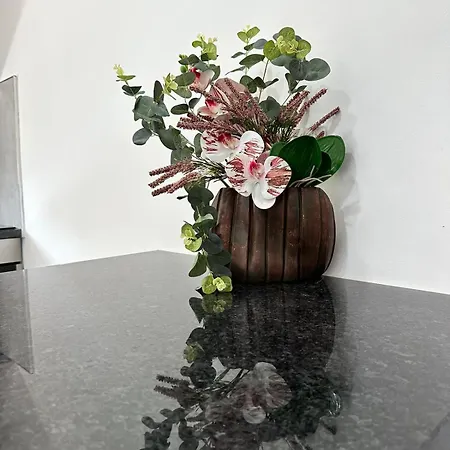 Apartment Turisalves -